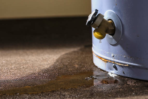 Best Sewage cleanup and water damage restoration  in Polk City, FL