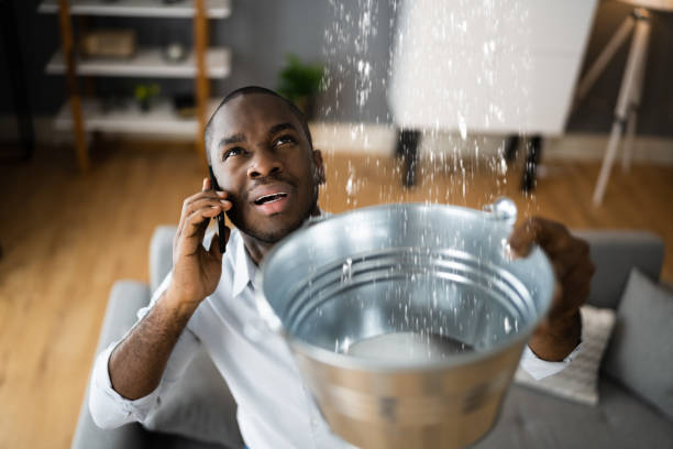 Best Commercial water damage restoration  in Polk City, FL