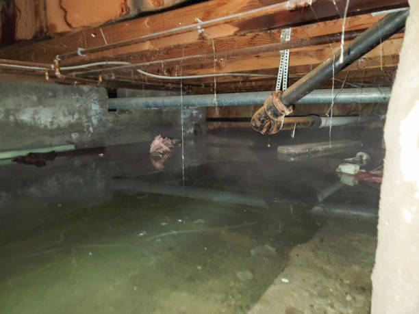 Best Water damage restoration cost  in Polk City, FL
