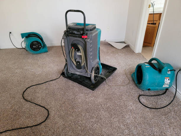 Best Flood damage cleanup  in Polk City, FL