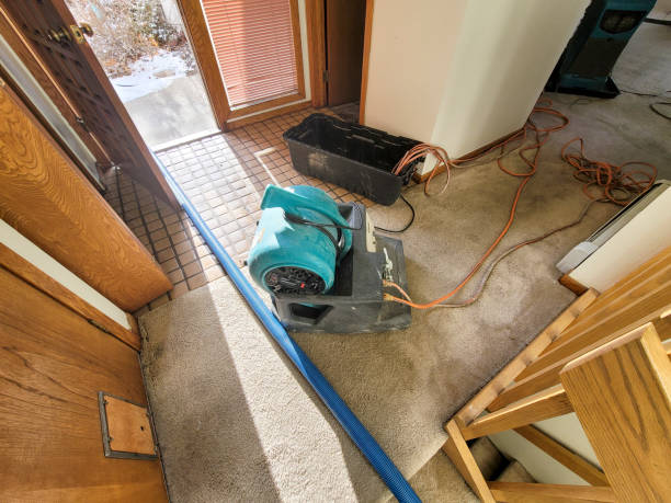 Trusted FL Water damage restoration Experts