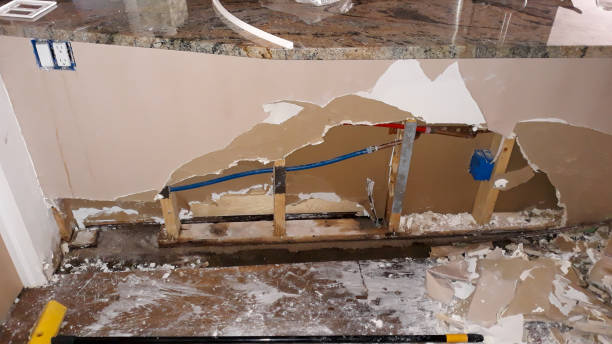 Best Fire Damage Restoration  in Polk City, FL