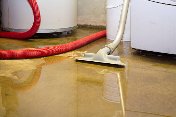 Best 24-hour water damage restoration  in Polk City, FL