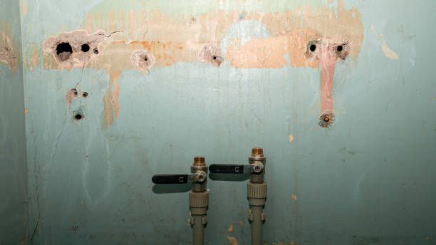 Best 24/7 water damage repair  in Polk City, FL