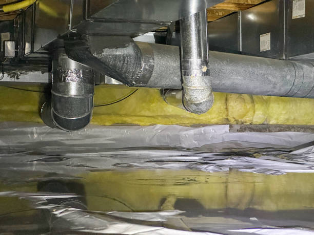 Best Flood restoration services  in Polk City, FL