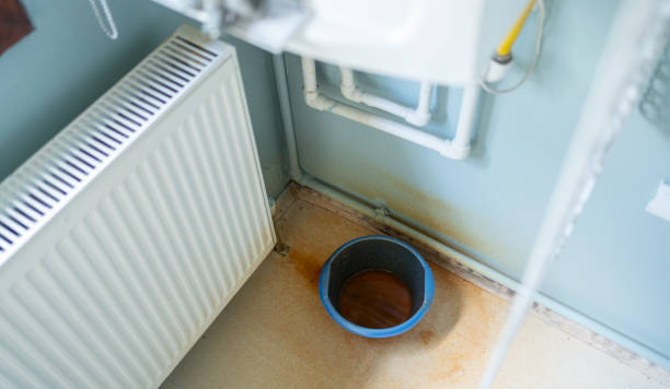 Best Basement water damage restoration  in Polk City, FL