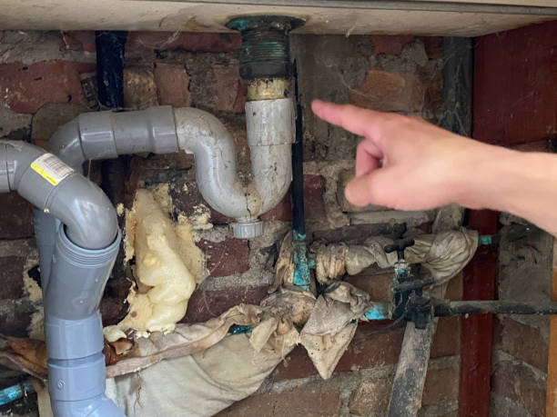 Best Flooded house restoration  in Polk City, FL