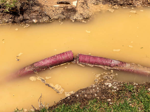 Best Basement water damage restoration  in Polk City, FL