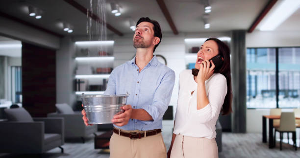 Best Ceiling water damage repair  in Polk City, FL