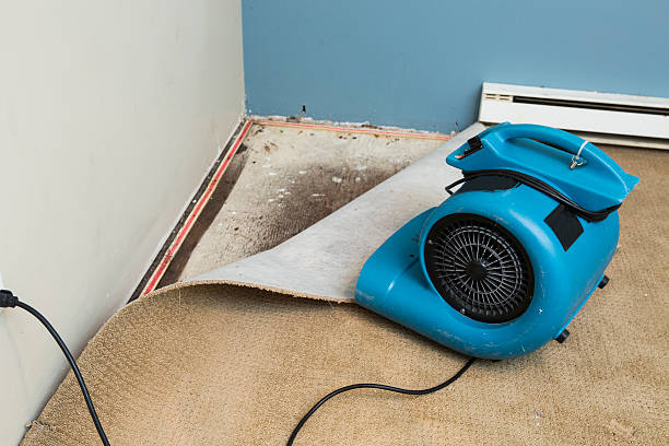 Best Residential water damage restoration  in Polk City, FL